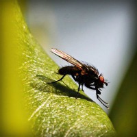 /album/kobra11-fanpage-sk/photolia-a04-jpg/