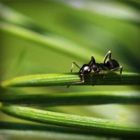 /album/kobra11-fanpage-sk/photolia-a05-jpg/