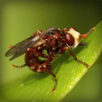 /album/kobra11-fanpage-sk/photolia-a06-jpg/