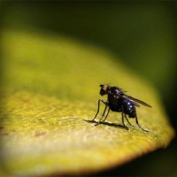 /album/kobra11-fanpage-sk/photolia-a07-jpg/